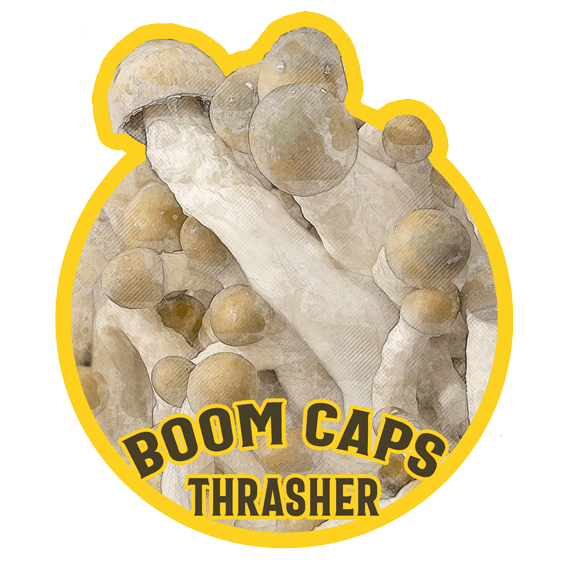 thrasher psilocybin mushroom boom caps