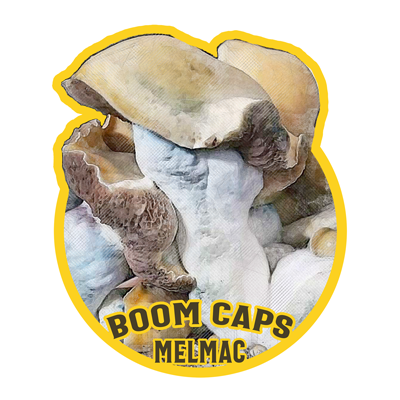 melmac psilocybin mushroom boom caps