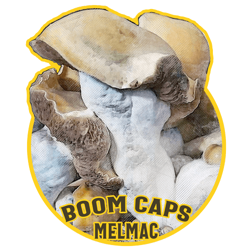 melmac psilocybin mushroom boom caps