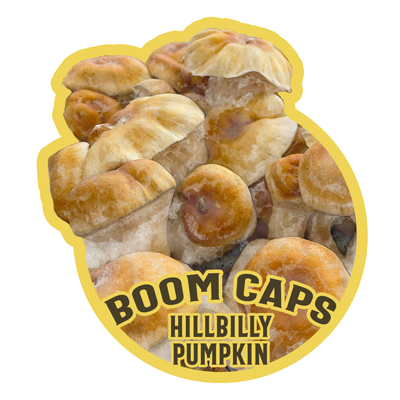 hillbilly pumpkin mushroom boom cap