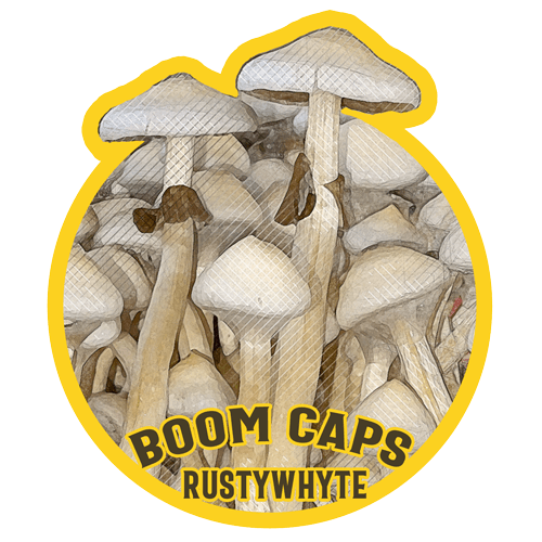 rusty whyte psilocybin mushroom boom caps