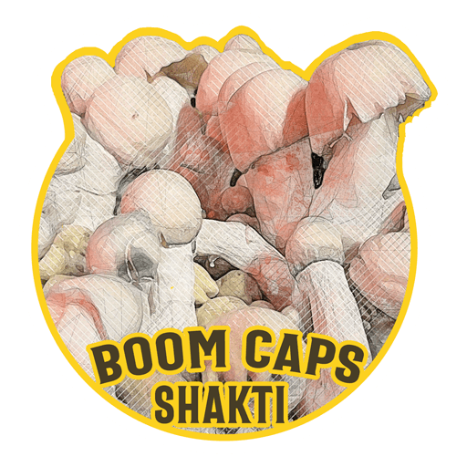 shakti psilocybin mushroom boom caps