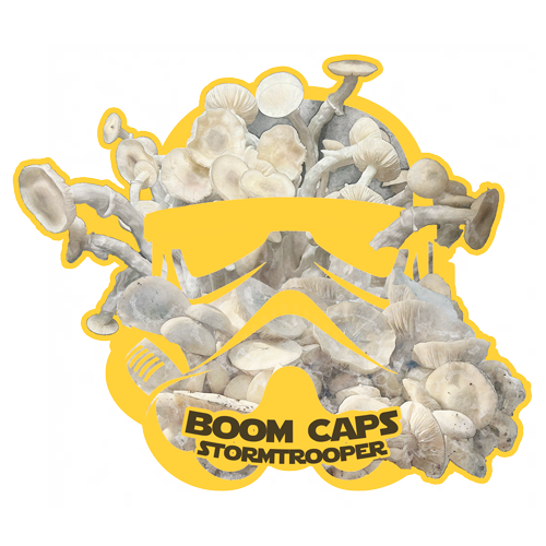 stormtrooper psilocybin mushroom boom caps