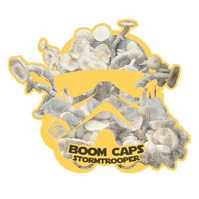 stormtrooper psilocybin mushroom boom caps