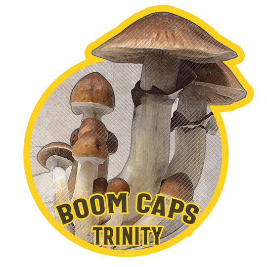 trinity psilocybin mushroom boom caps