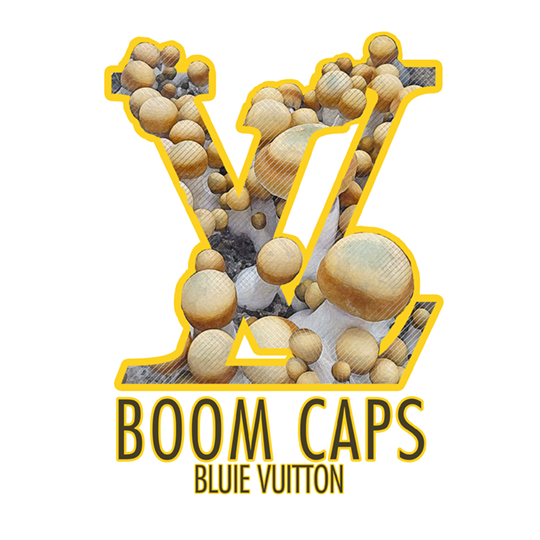 Bluey Vuitton psilocybin mushroom boom caps