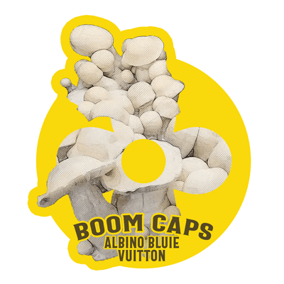 Albino Bluie Vuitton Boom Caps