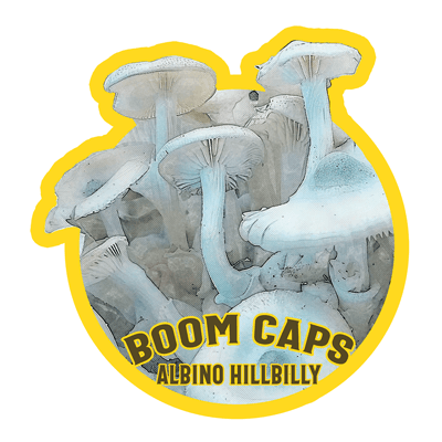 Albino Hillbilly Boom Caps
