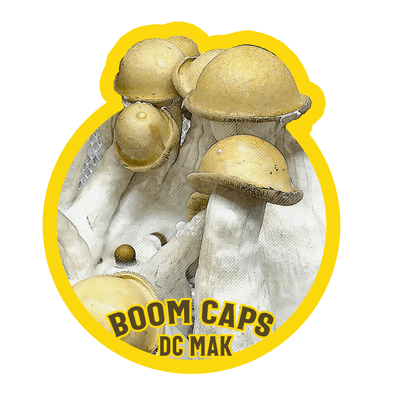 DC Mak Boom Caps