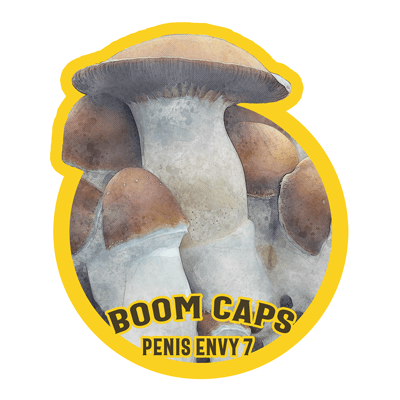Penis Envy 7 Boom Caps