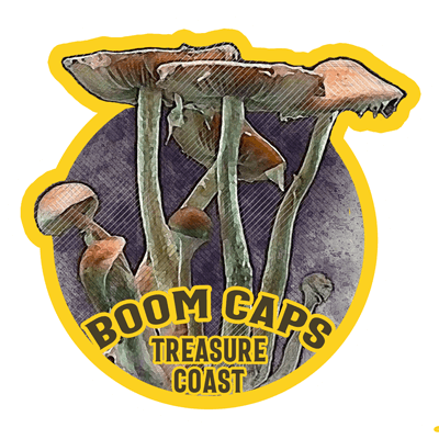 Treasure Coast Boom Caps